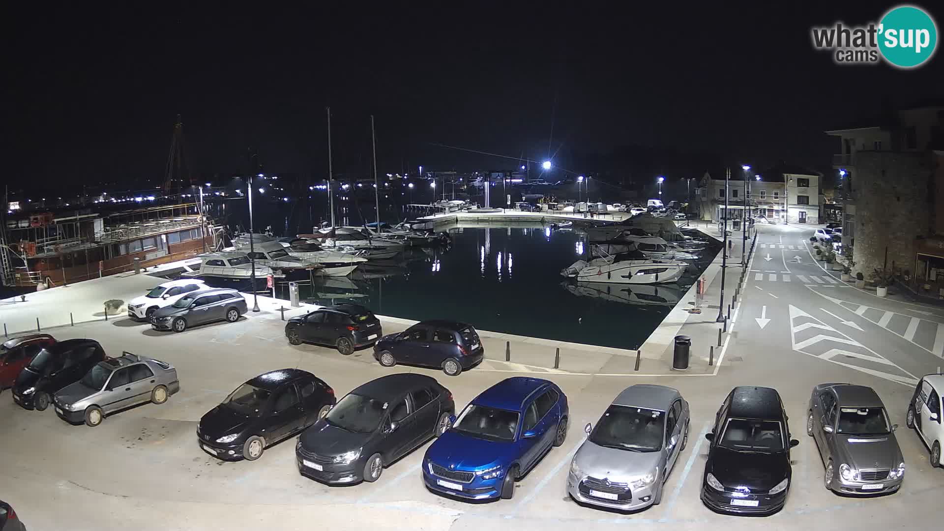 Novigrad | Porporela marina