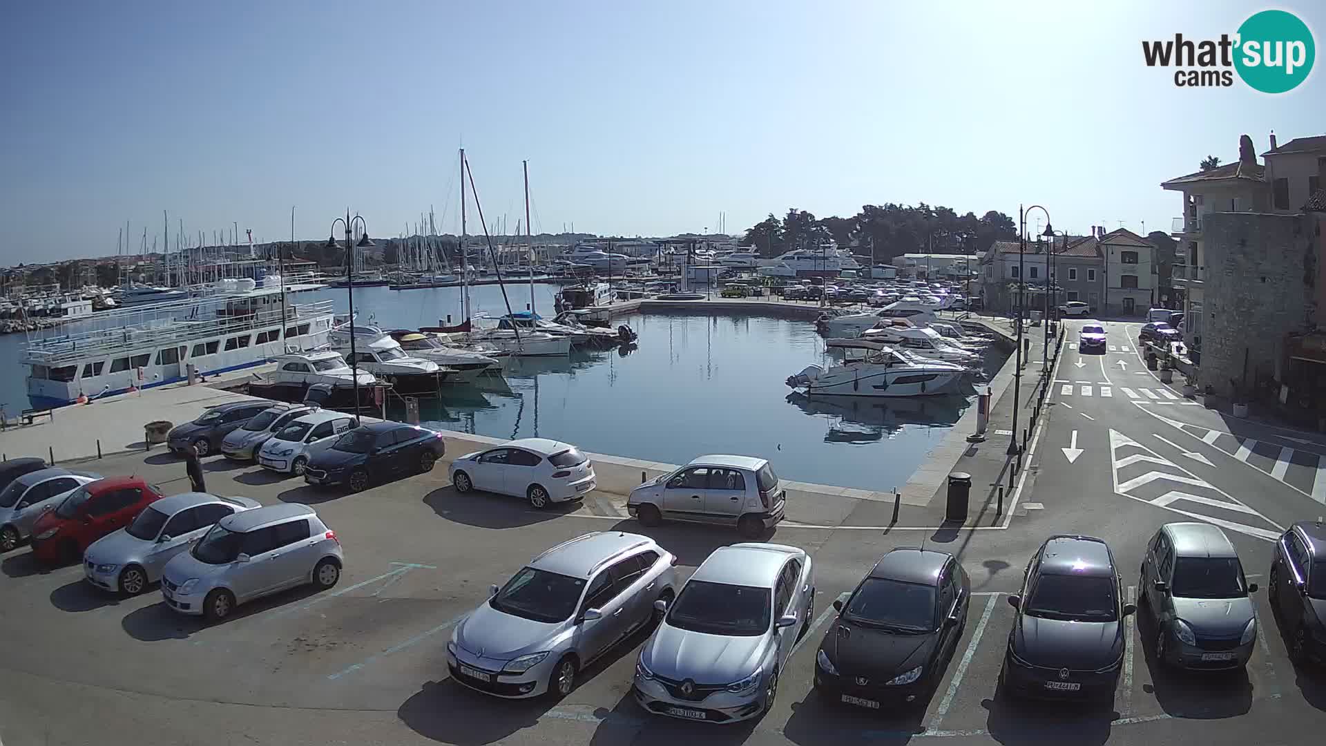 Novigrad | Porporela marina