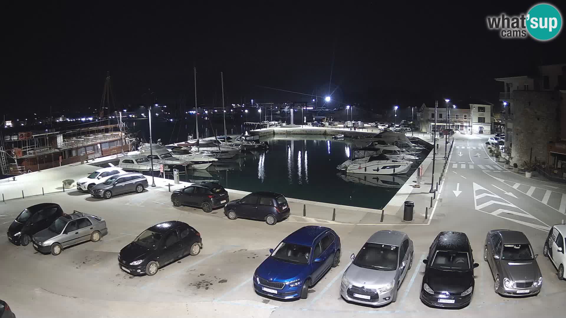 Novigrad | Porporela marina