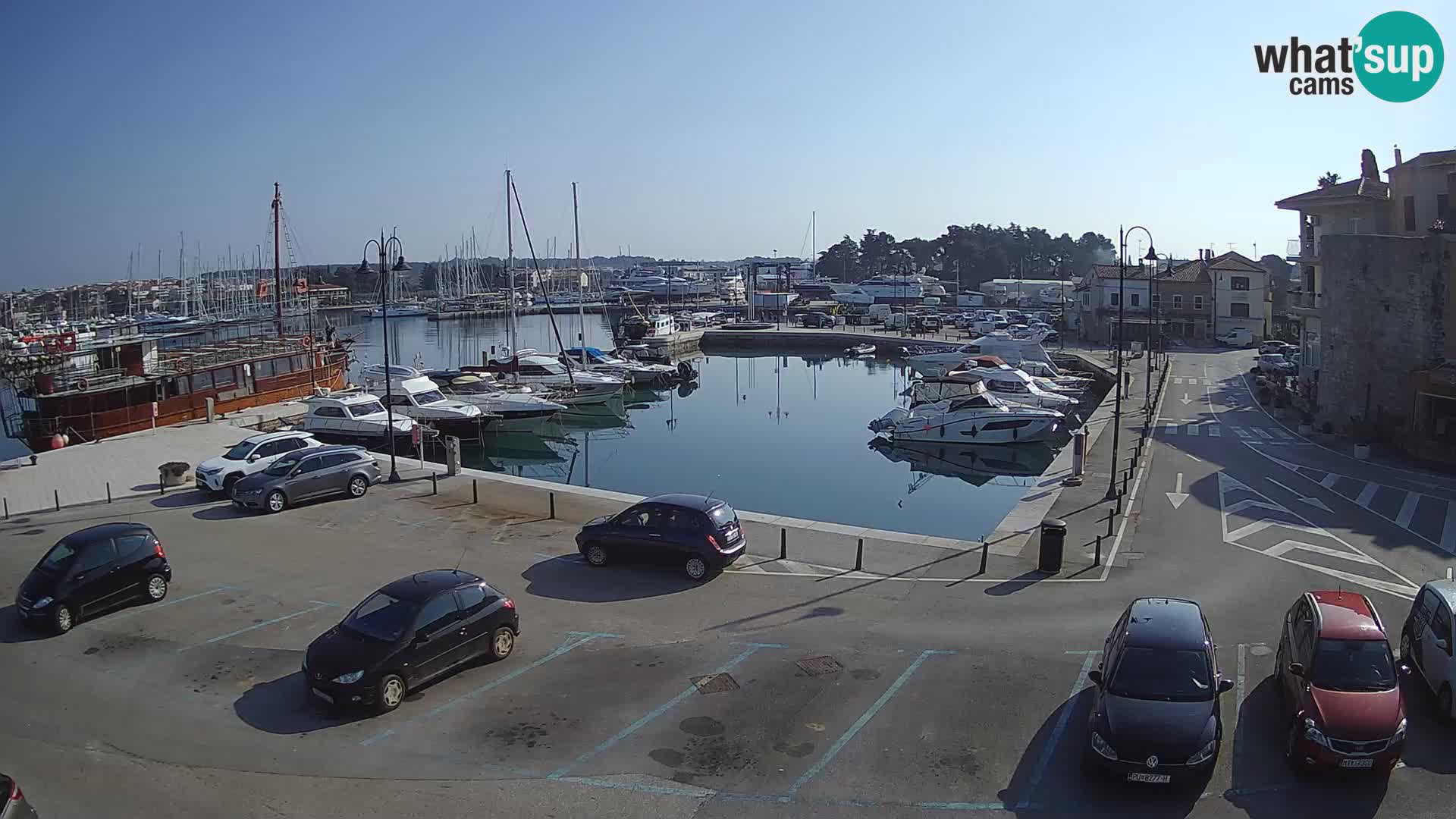 Novigrad | Porporela marina