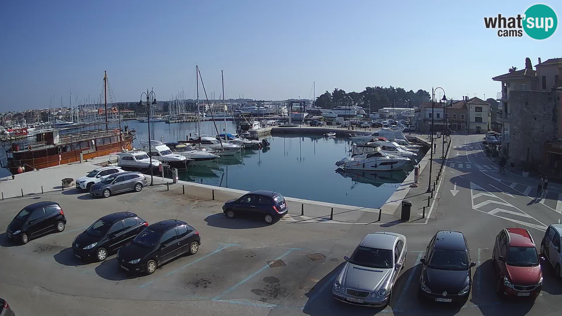 Novigrad | Porporela marina