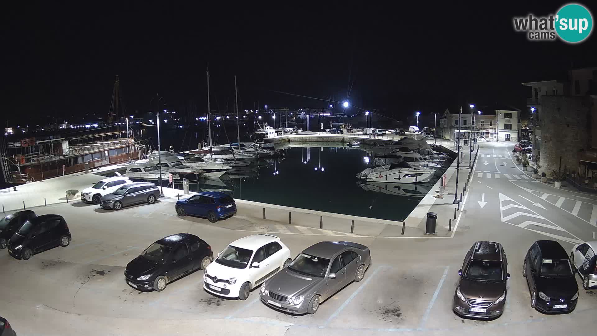 Novigrad | Porporela marina
