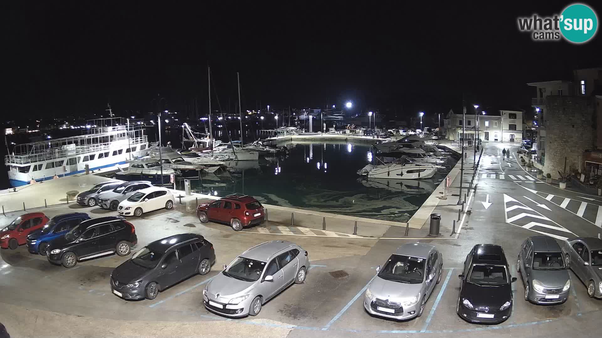 Novigrad | Porporela marina