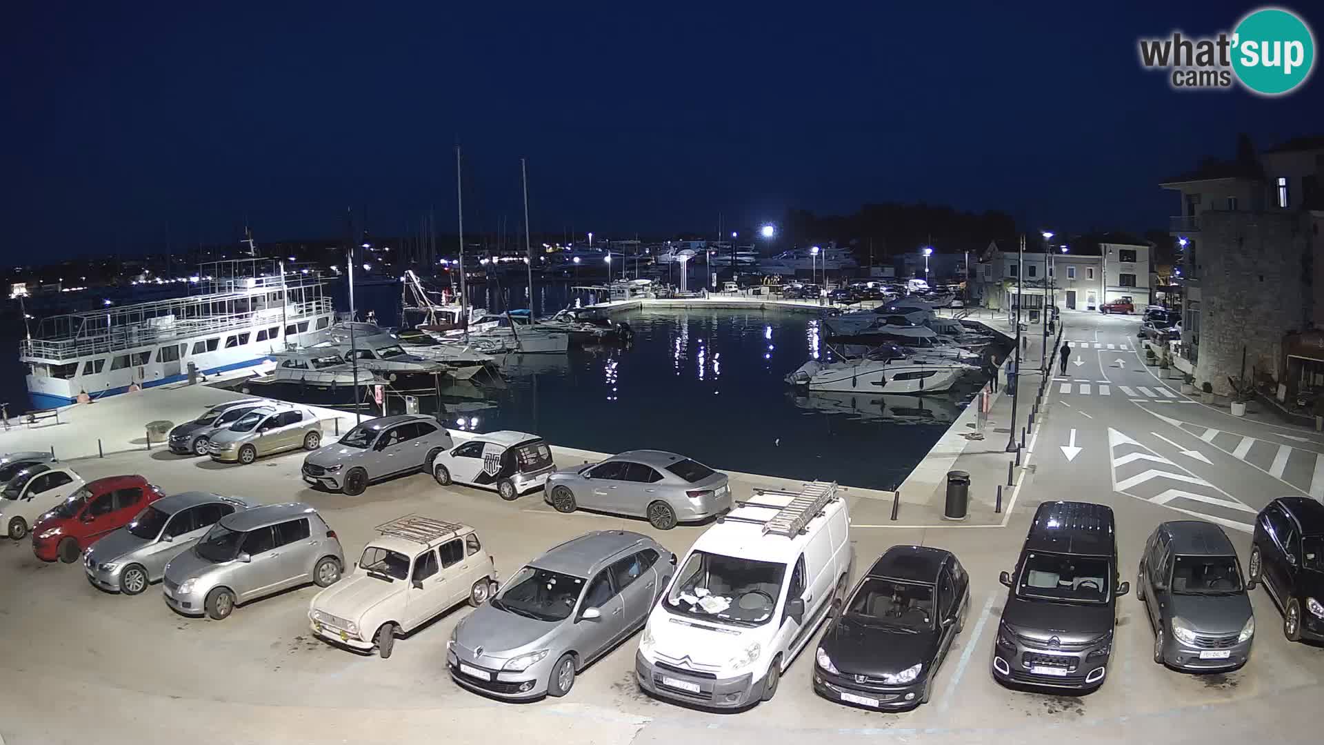 Novigrad | Porporela marina