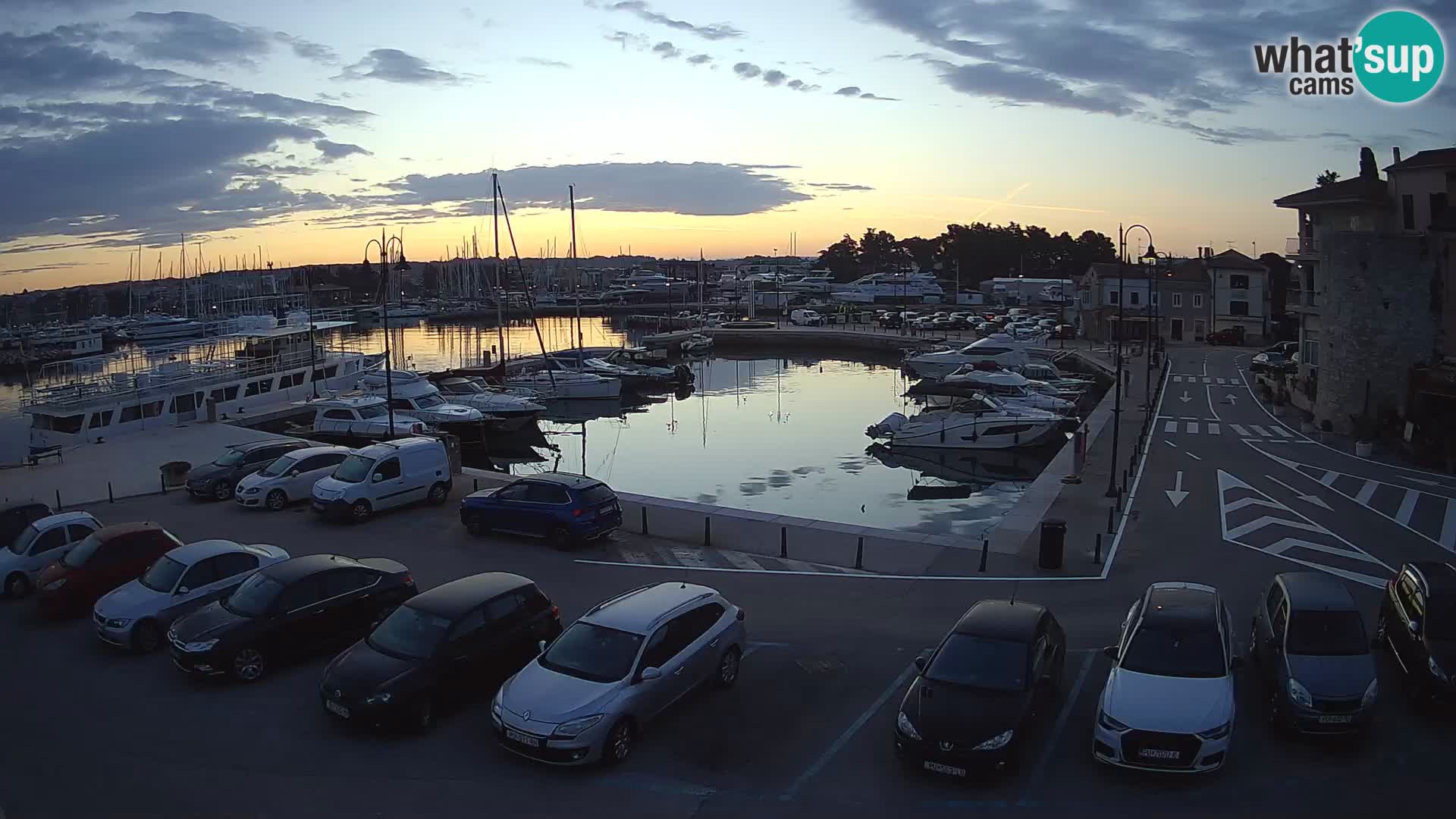 Novigrad | Porporela marina