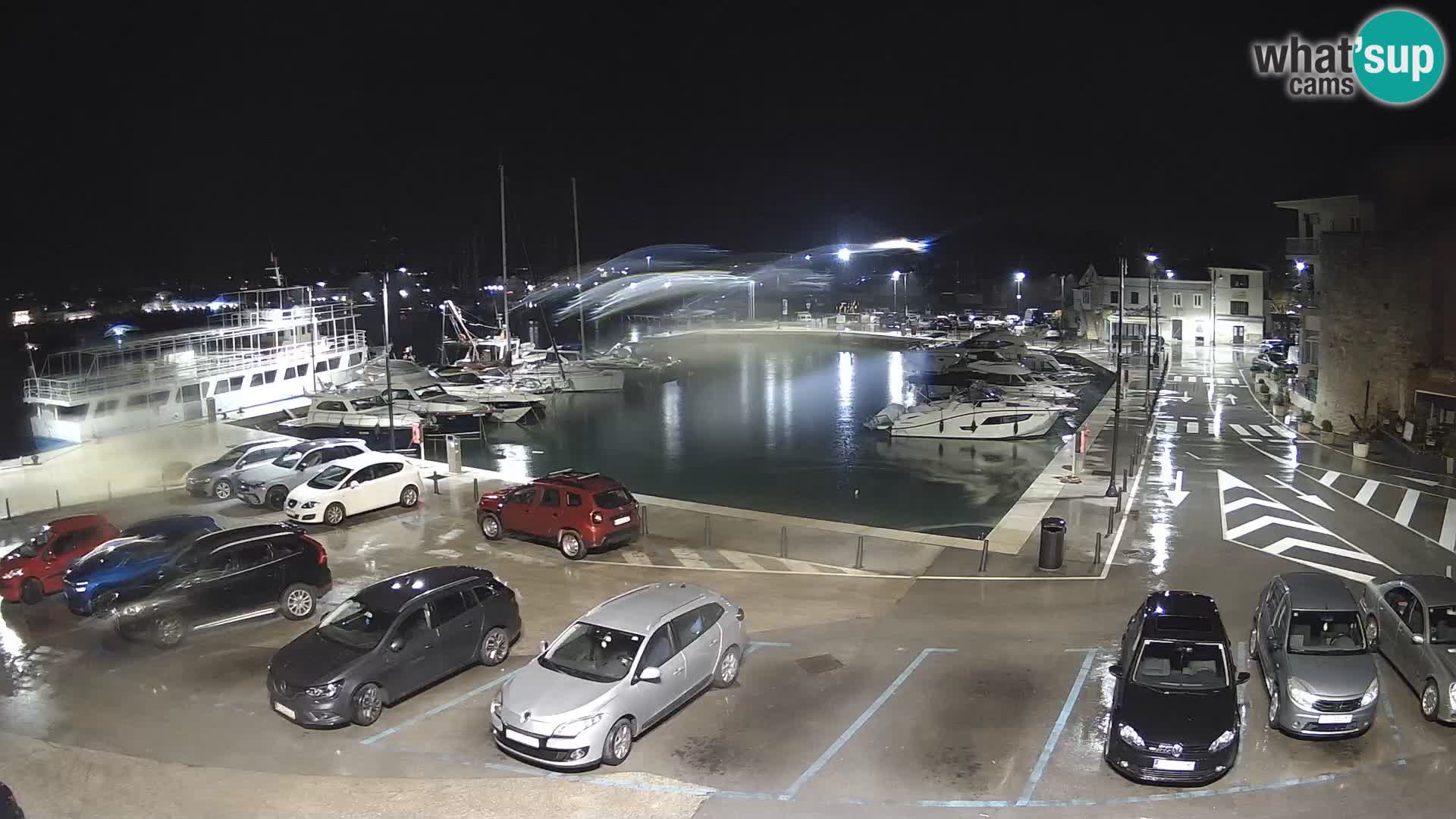 Novigrad | Porporela marina