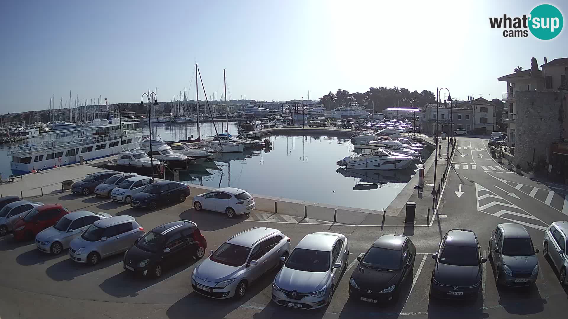 Novigrad | Porporela marina