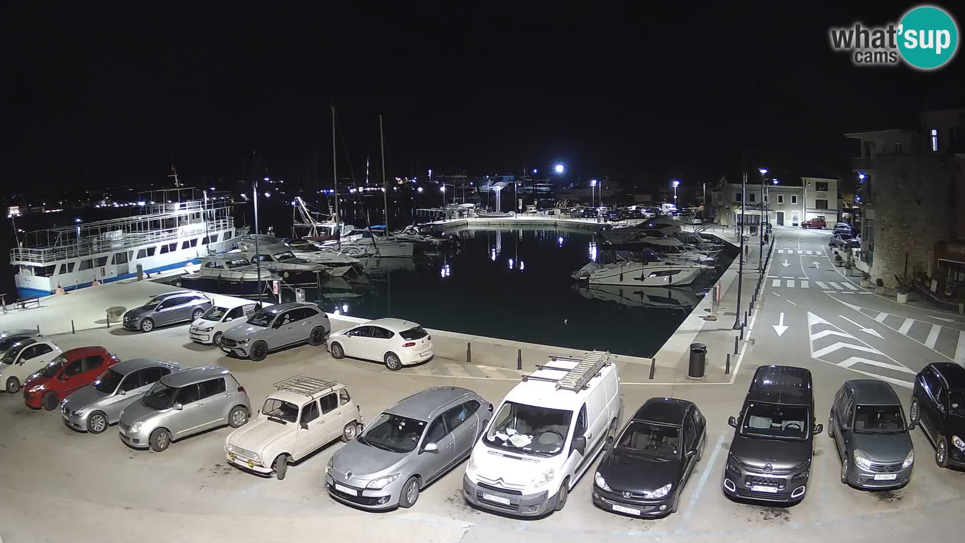 Novigrad | Porporela marina