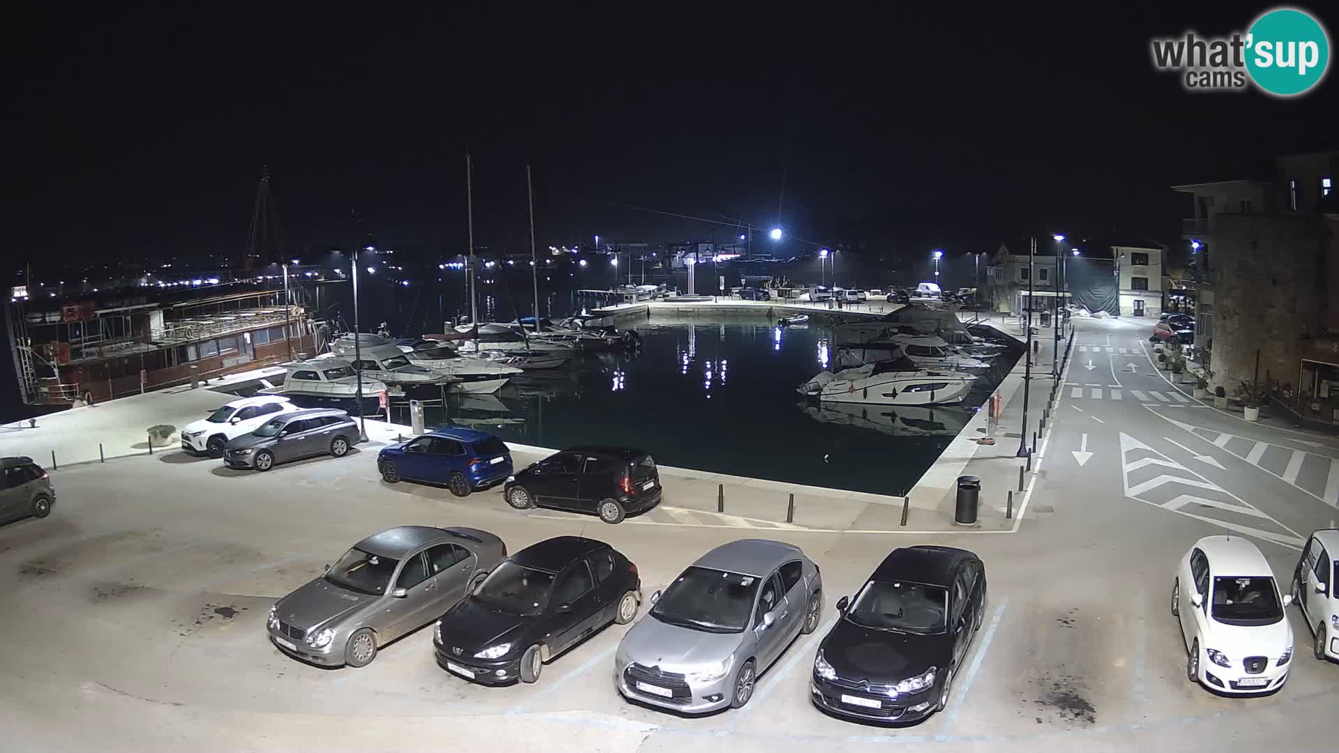 Novigrad | Porporela marina