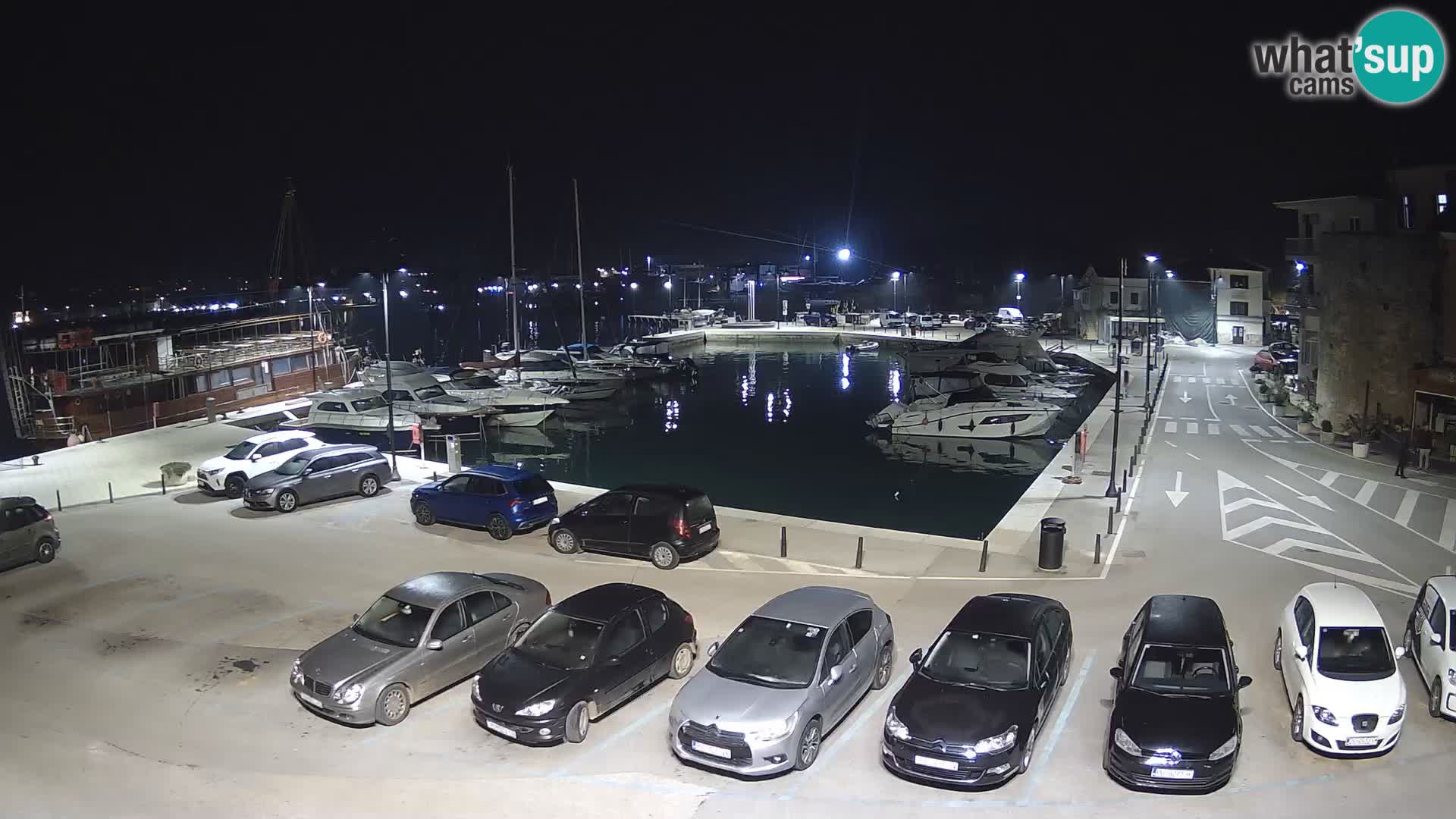 Novigrad | Porporela marina