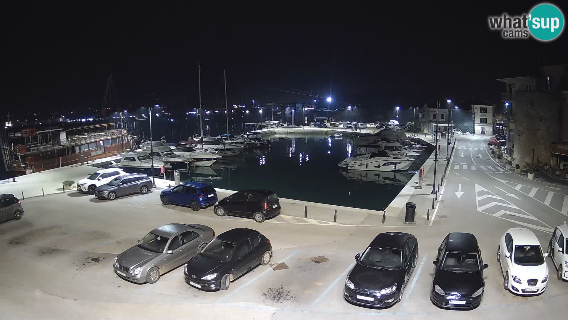 Novigrad | Porporela marina