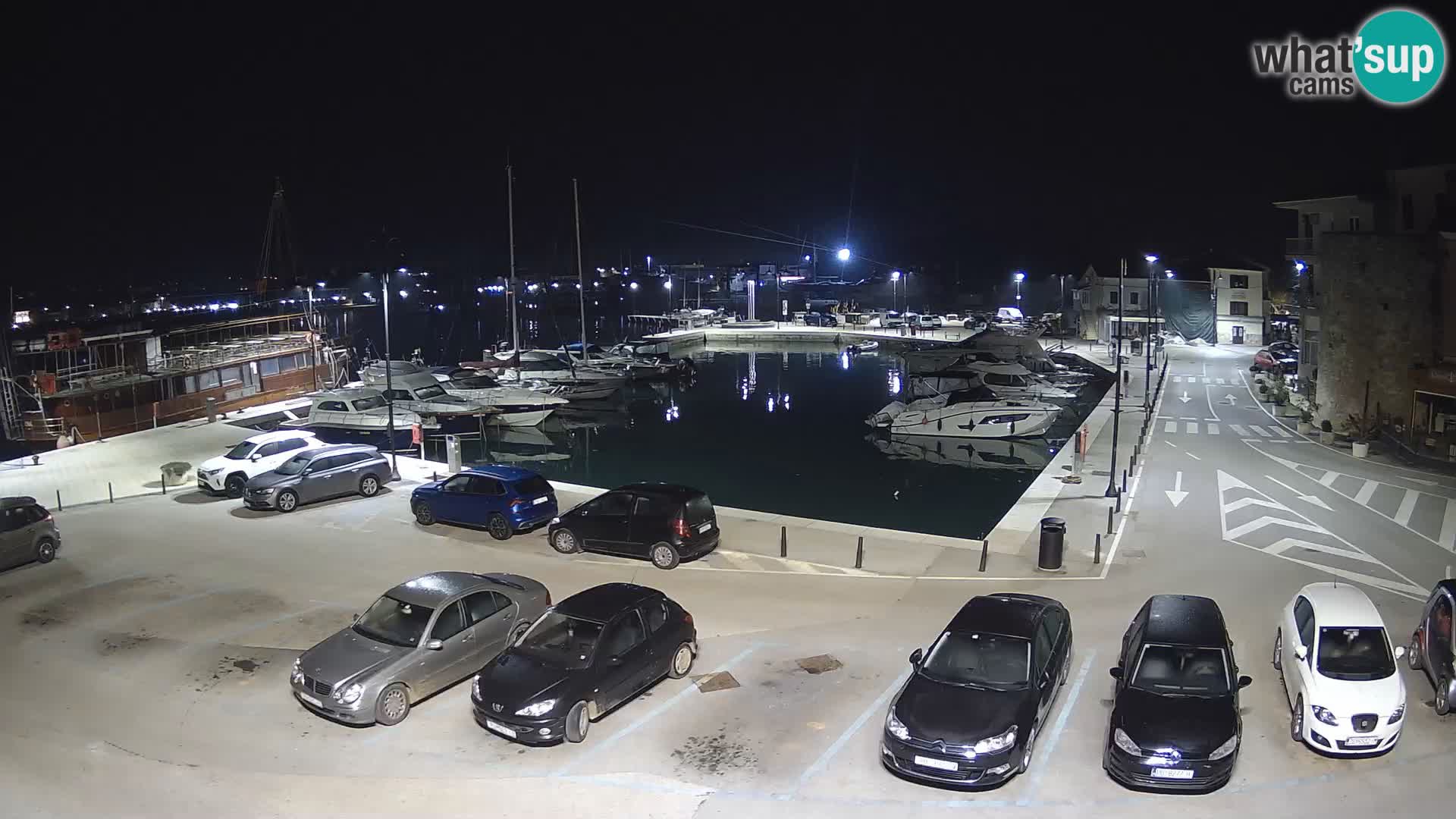 Novigrad | Porporela marina