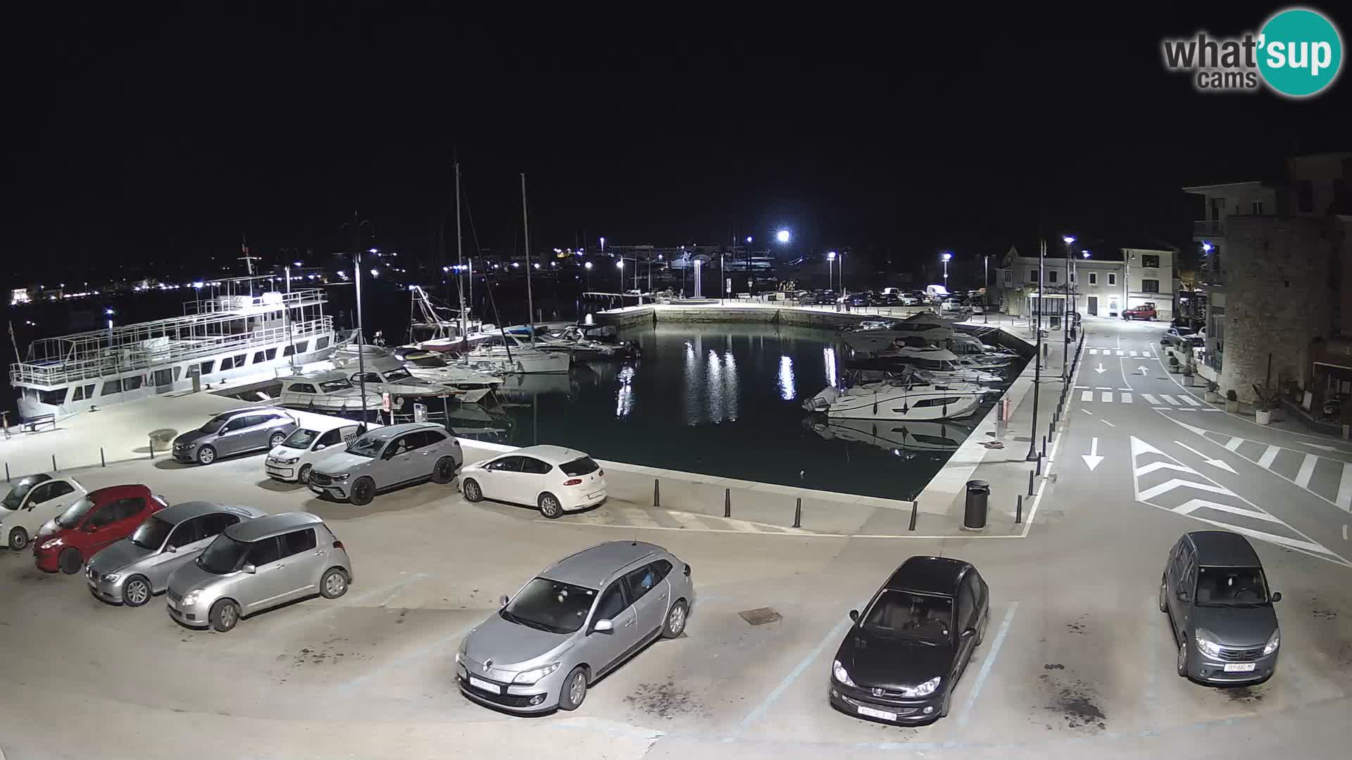 Novigrad | Porporela marina