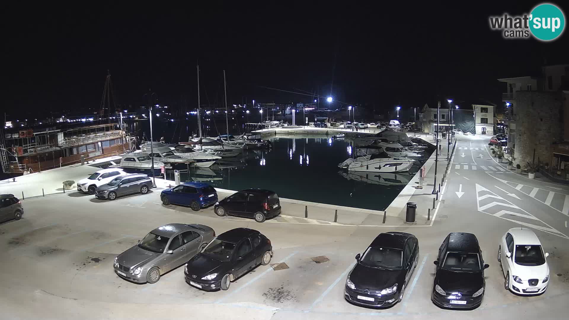 Novigrad | Porporela marina