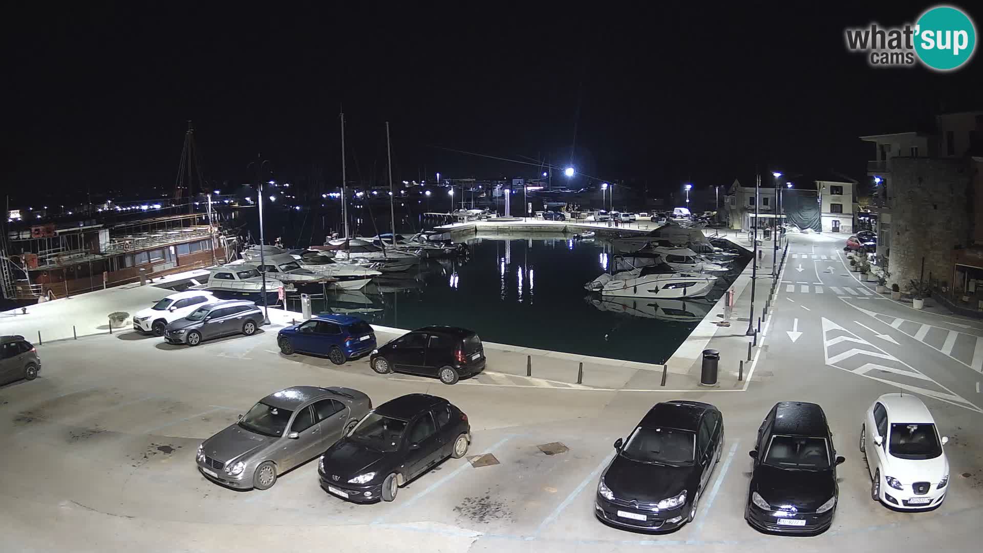 Novigrad | Porporela marina