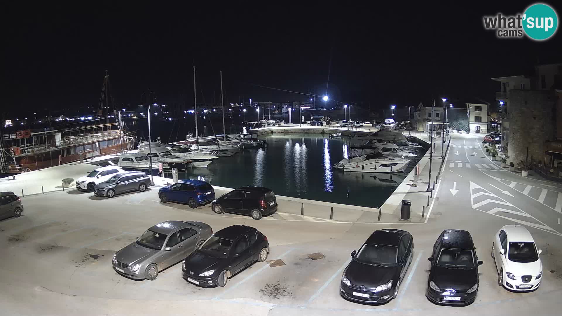 Novigrad | Porporela marina