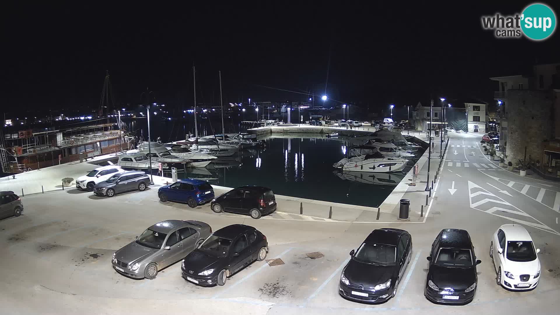Novigrad | Porporela marina