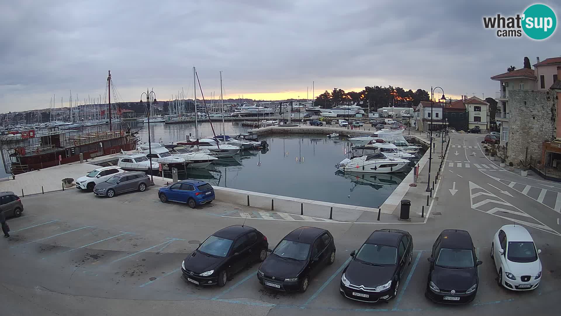 Novigrad | Porporela marina