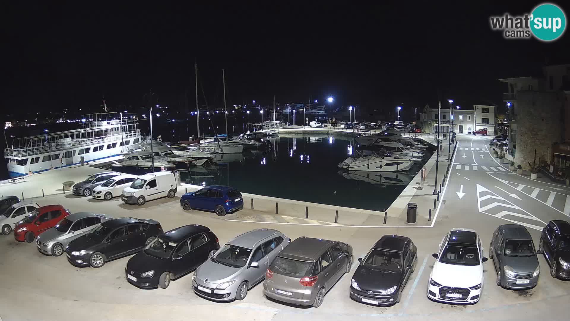 Novigrad | Porporela marina