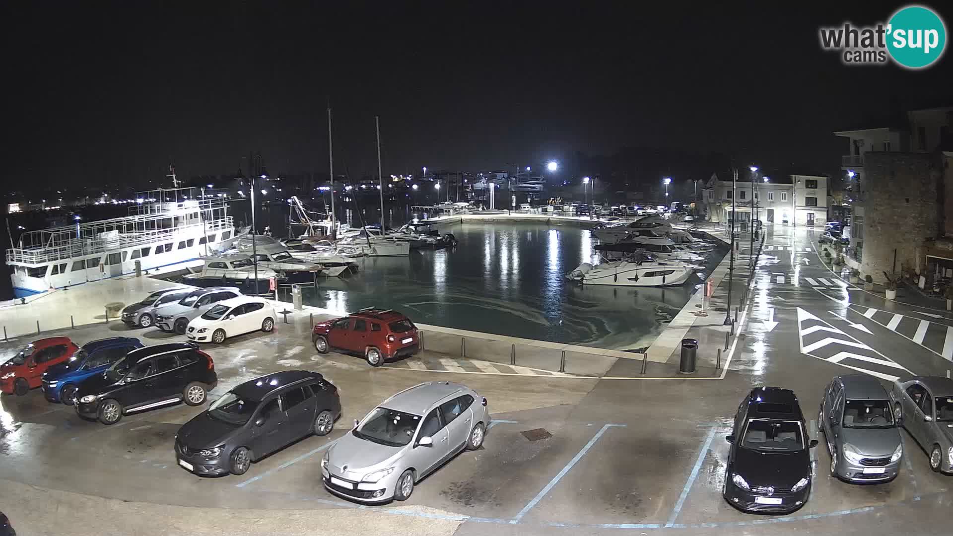 Novigrad | Porporela marina