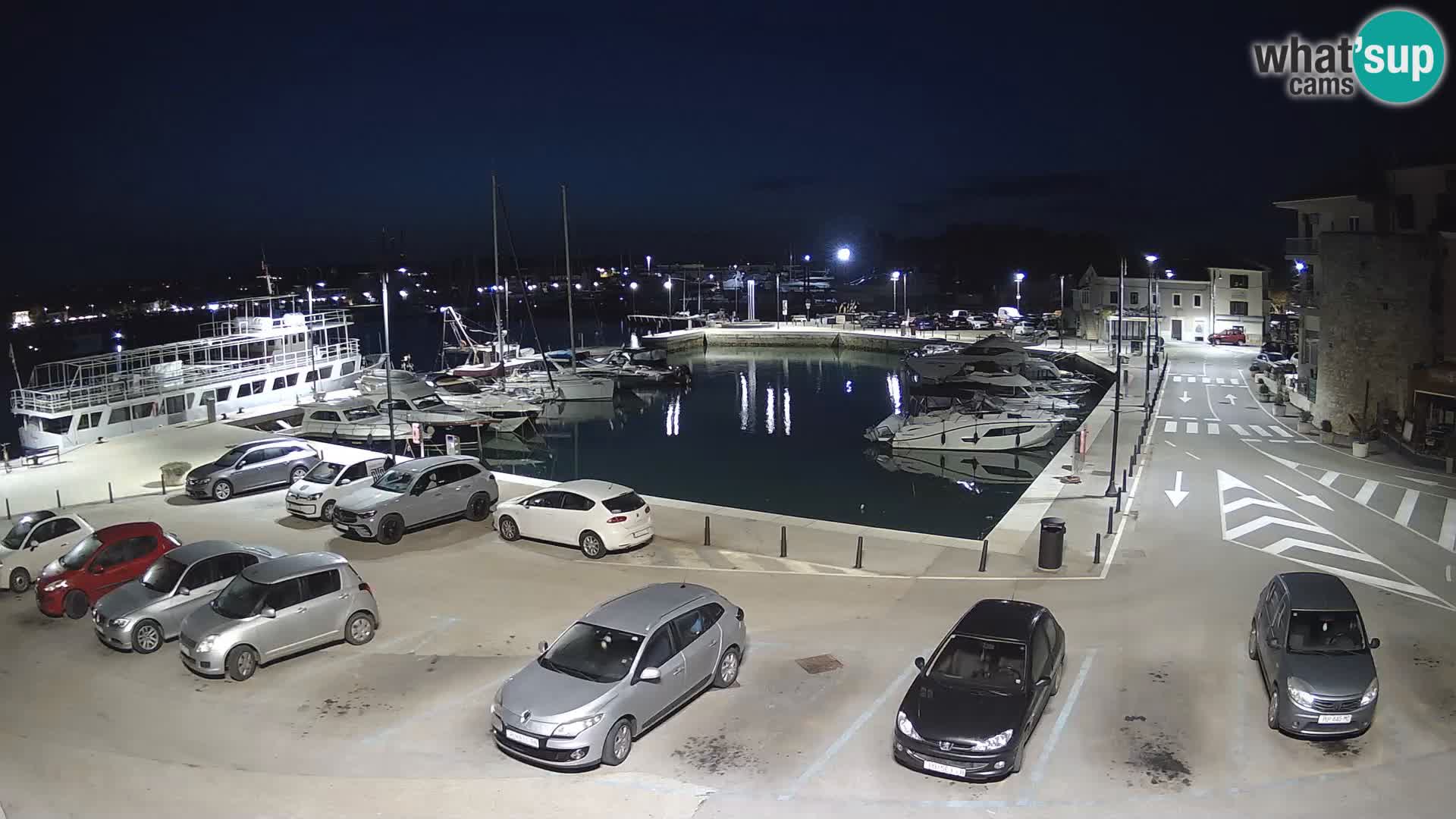 Novigrad | Porporela marina