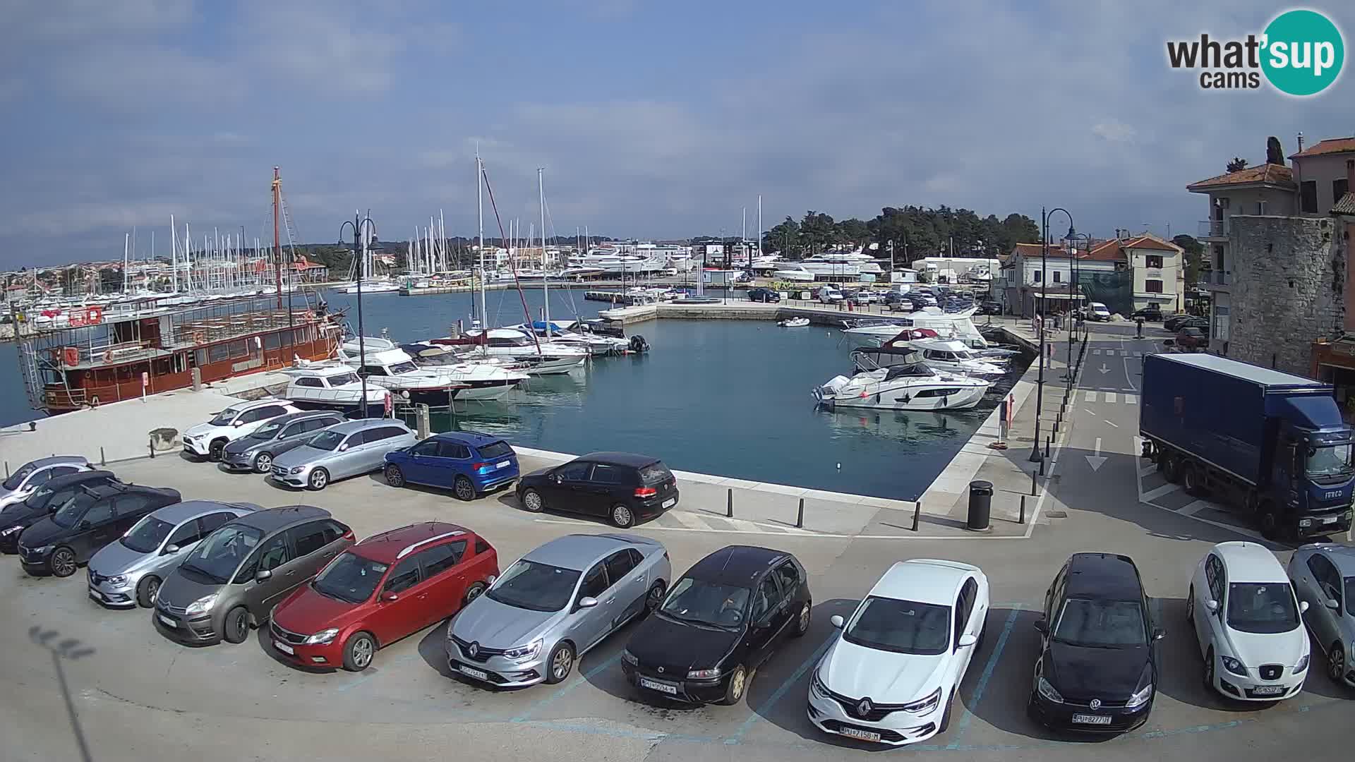 Novigrad | Porporela marina