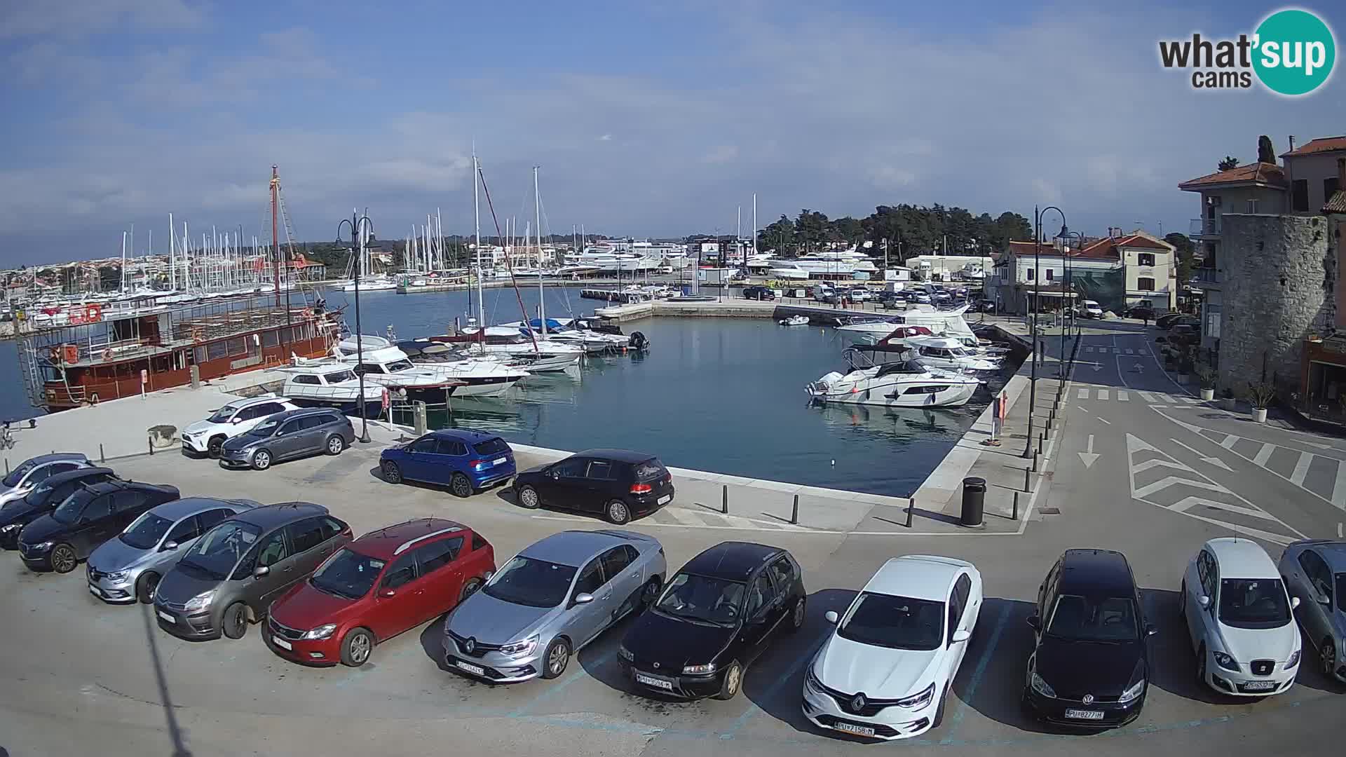 Novigrad | Porporela marina
