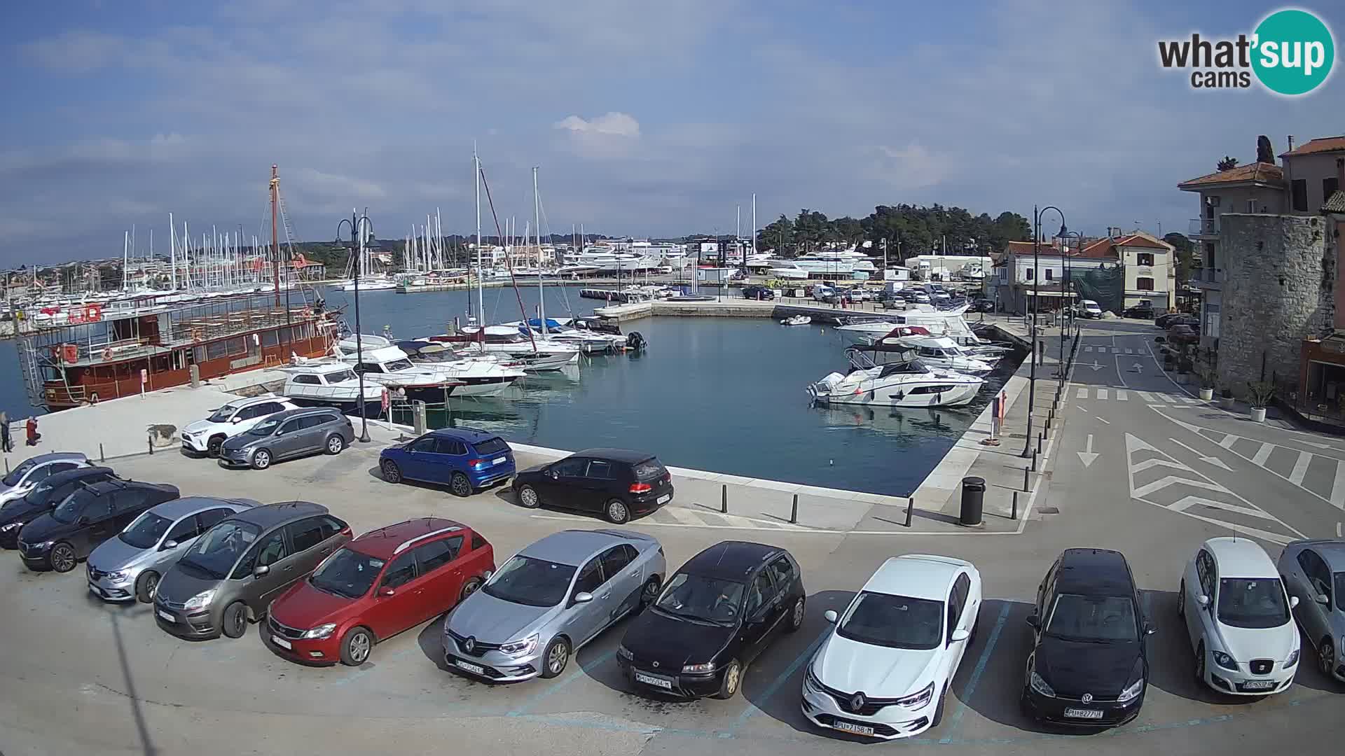 Novigrad | Porporela marina
