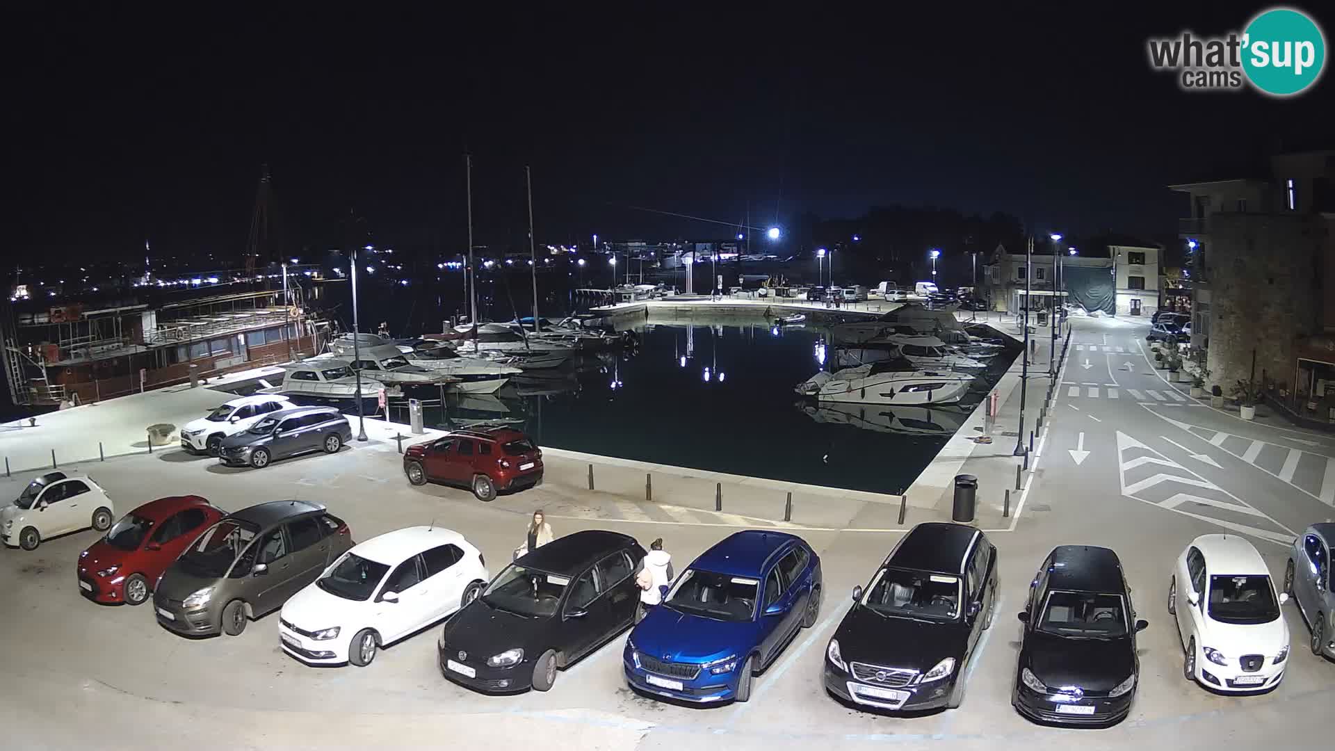 Novigrad | Porporela marina