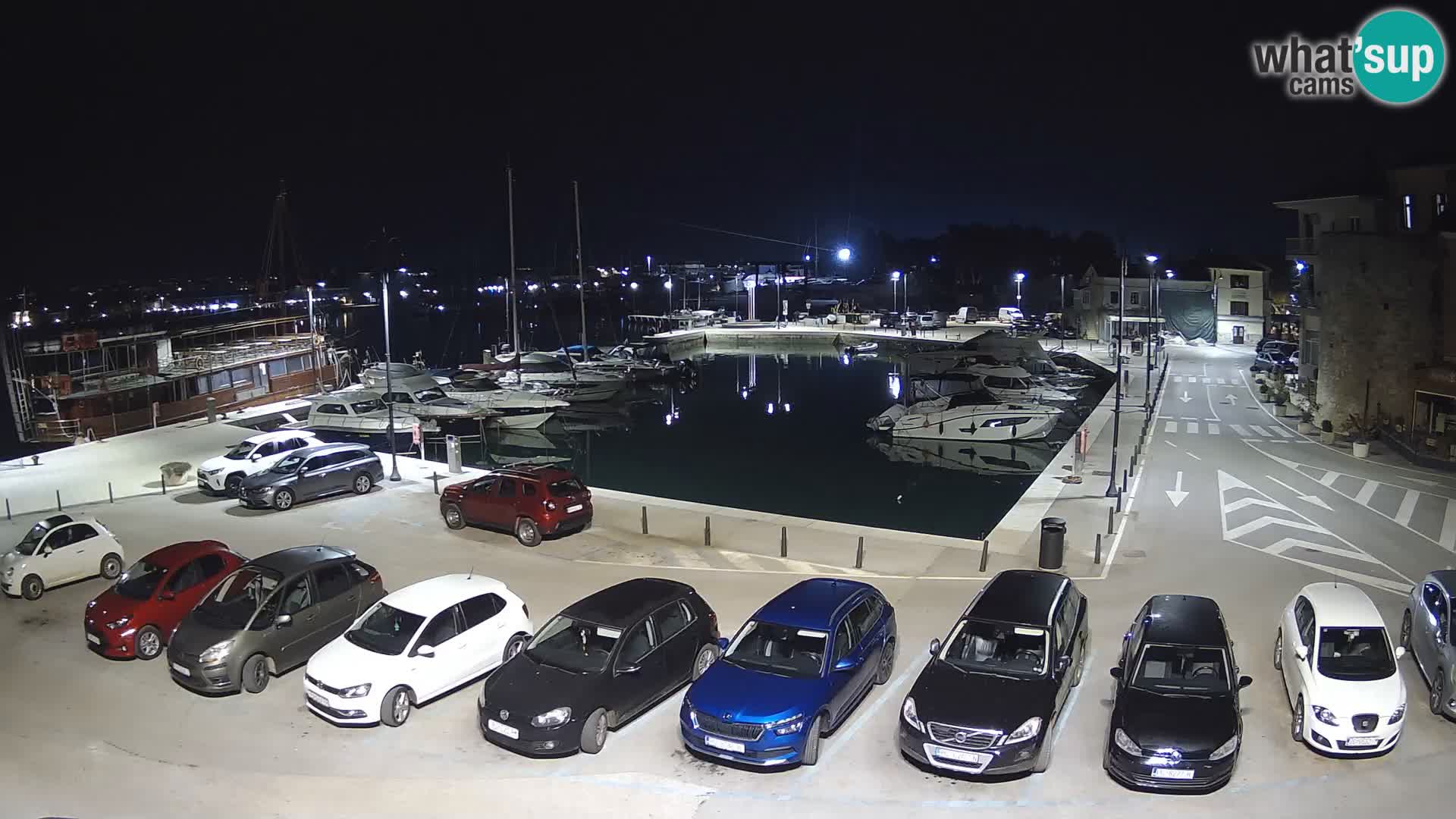 Novigrad | Porporela marina