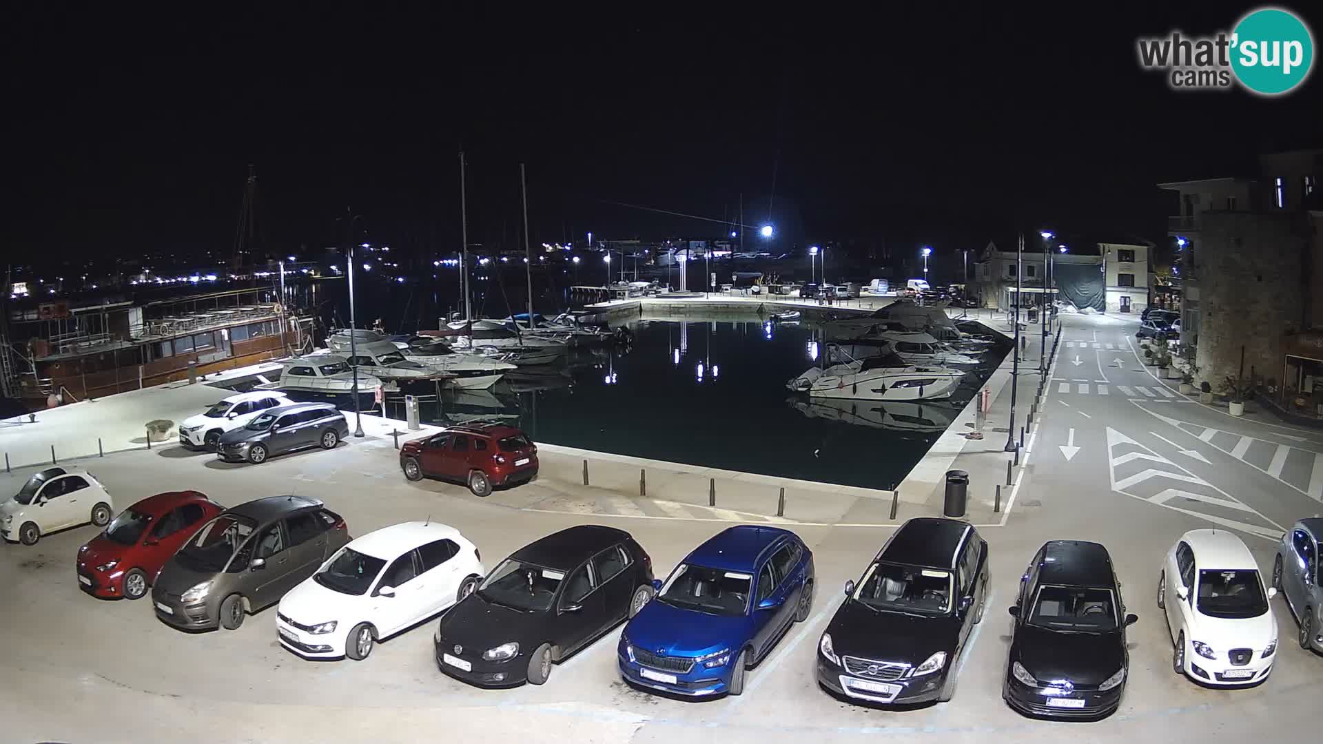 Novigrad | Porporela marina