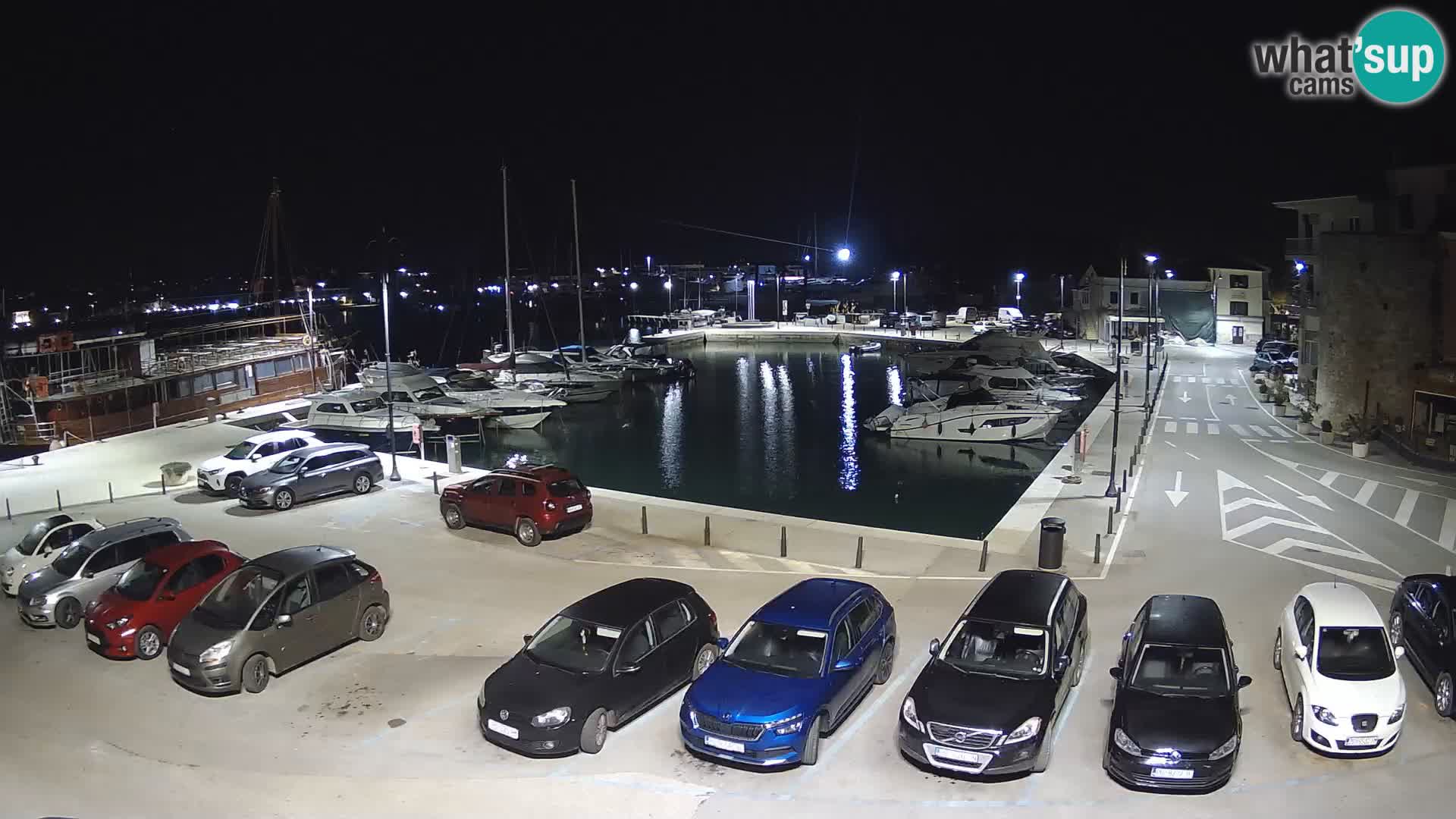 Novigrad | Porporela marina