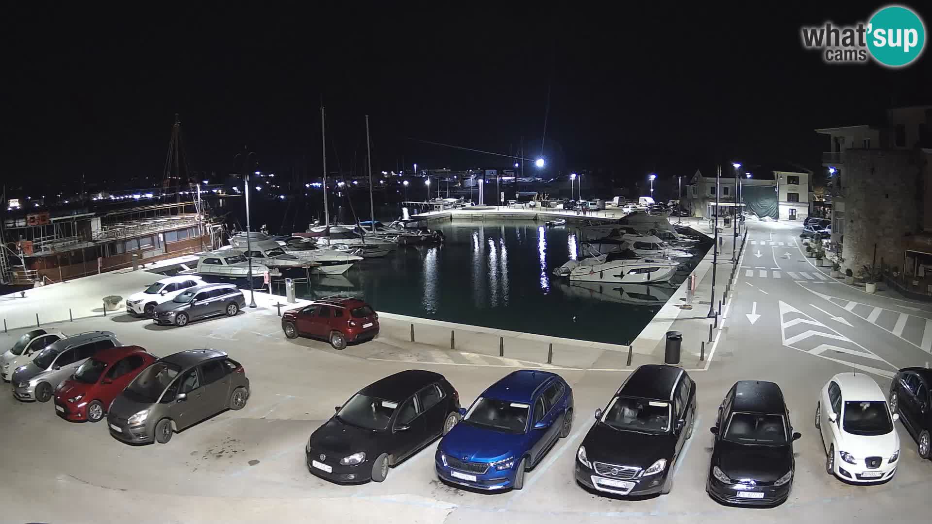 Novigrad | Porporela marina