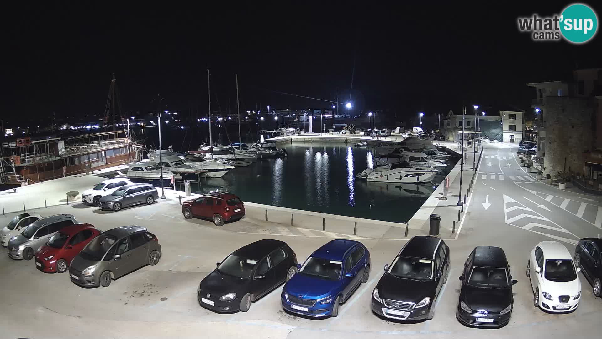 Novigrad | Porporela marina