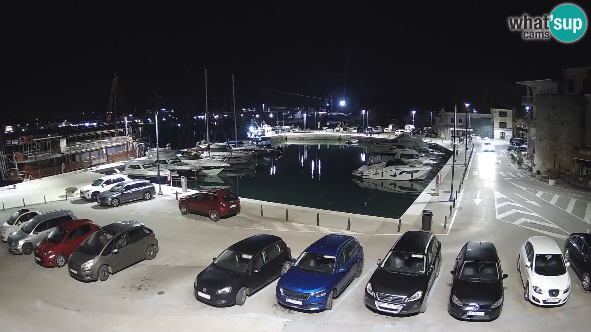 Novigrad | Porporela marina