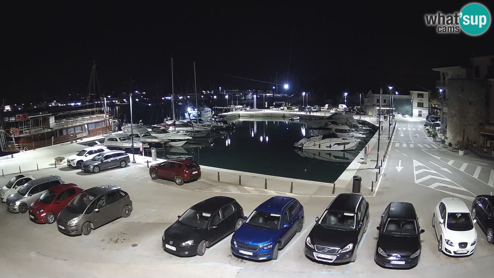 Novigrad | Porporela marina