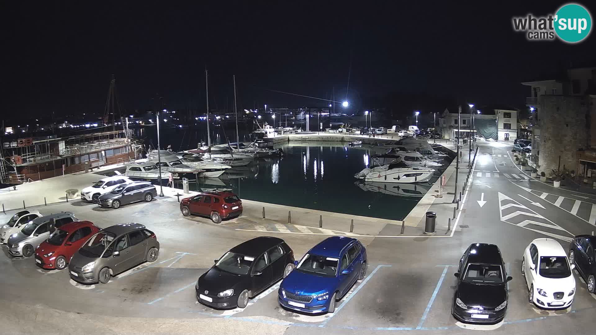 Novigrad | Porporela marina