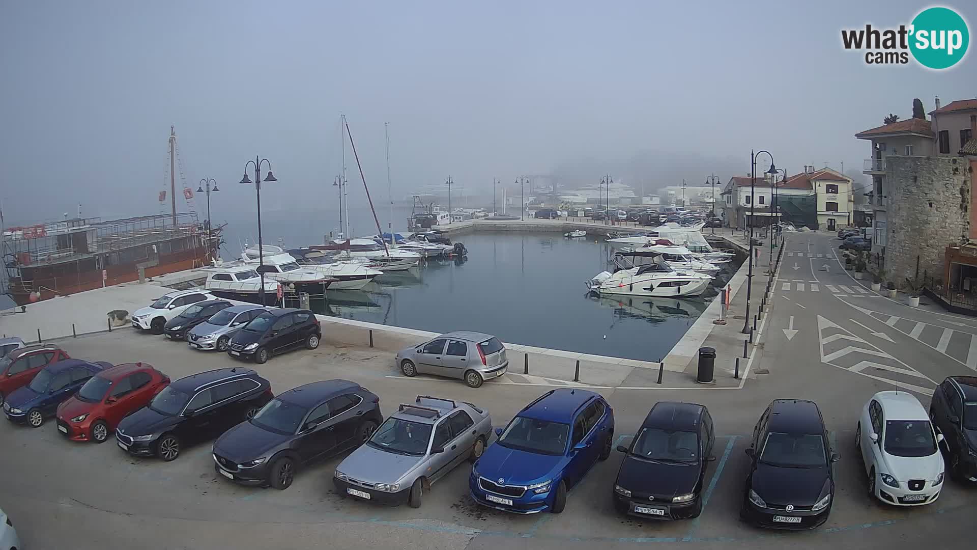Novigrad | Porporela marina