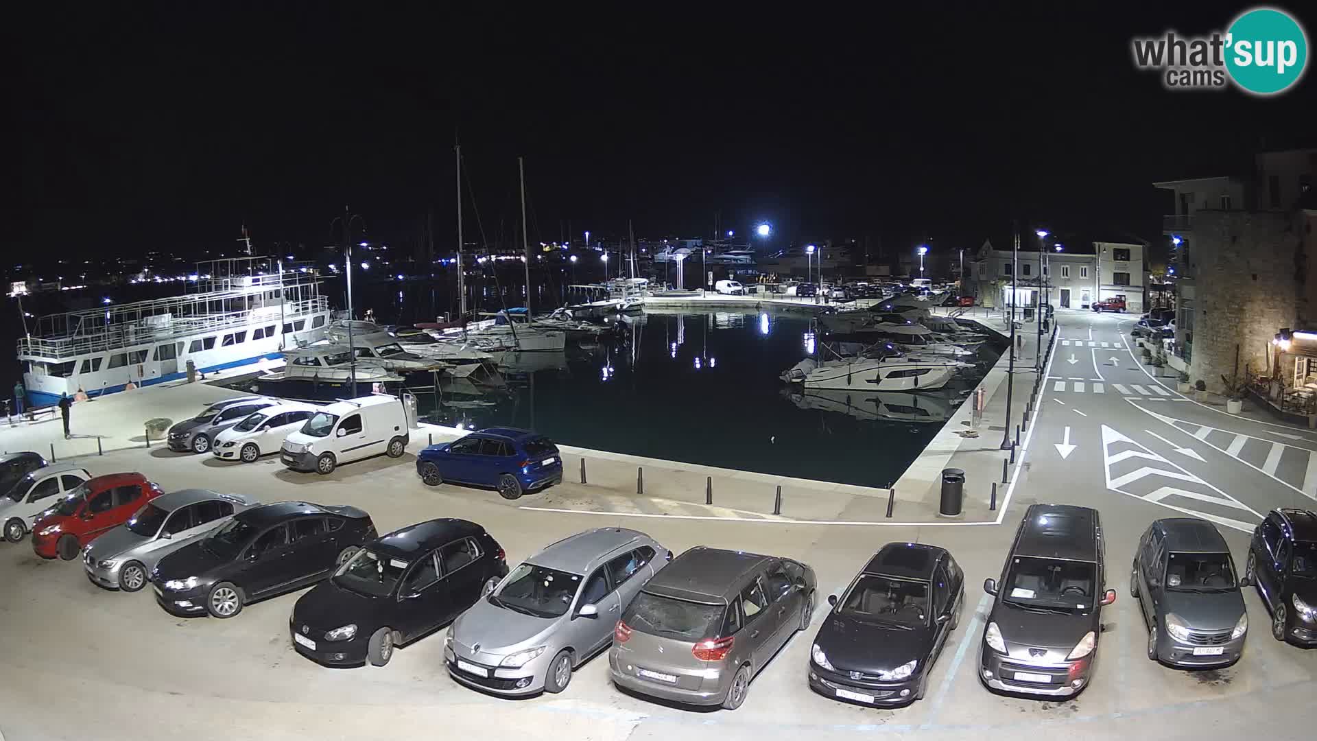 Novigrad | Porporela marina