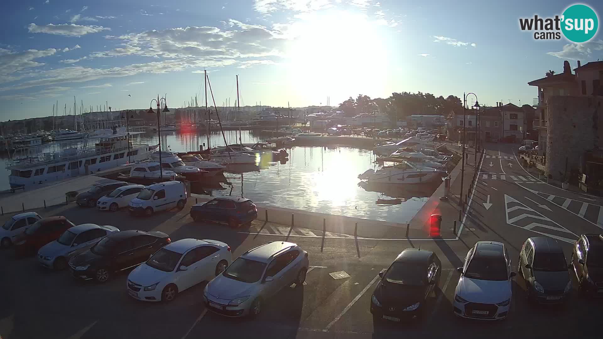 Novigrad | Porporela marina