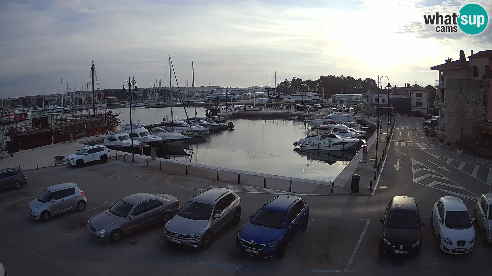Novigrad | Porporela marina