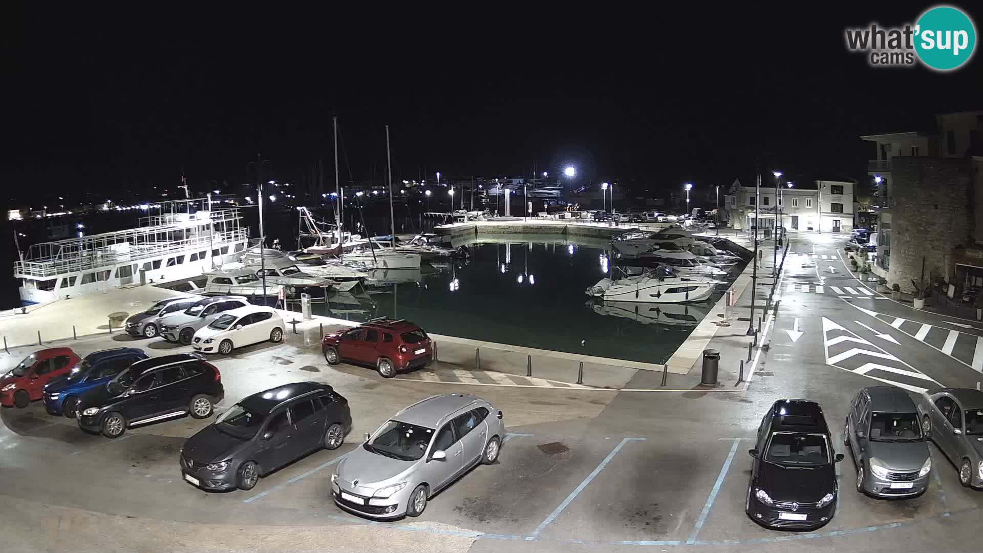 Novigrad | Porporela marina