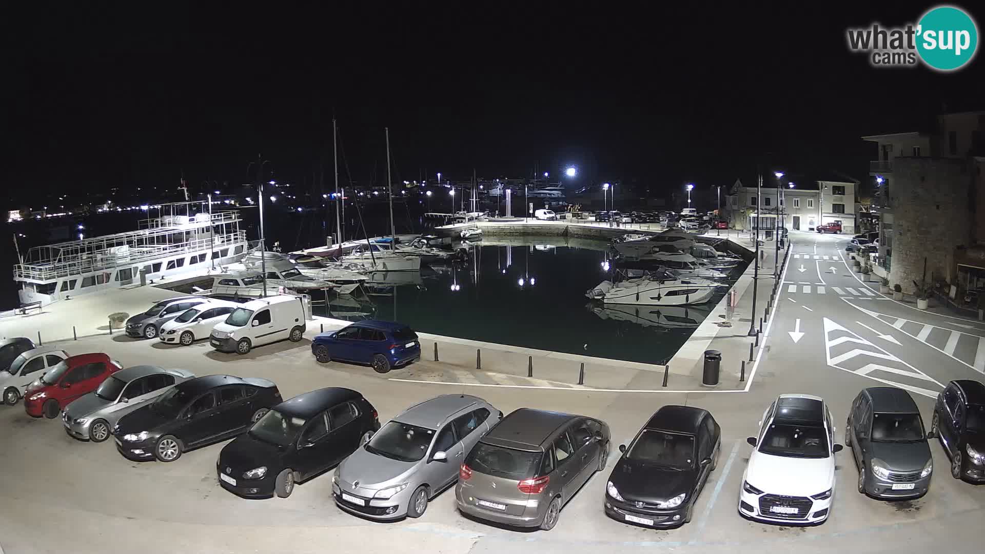Novigrad | Porporela marina