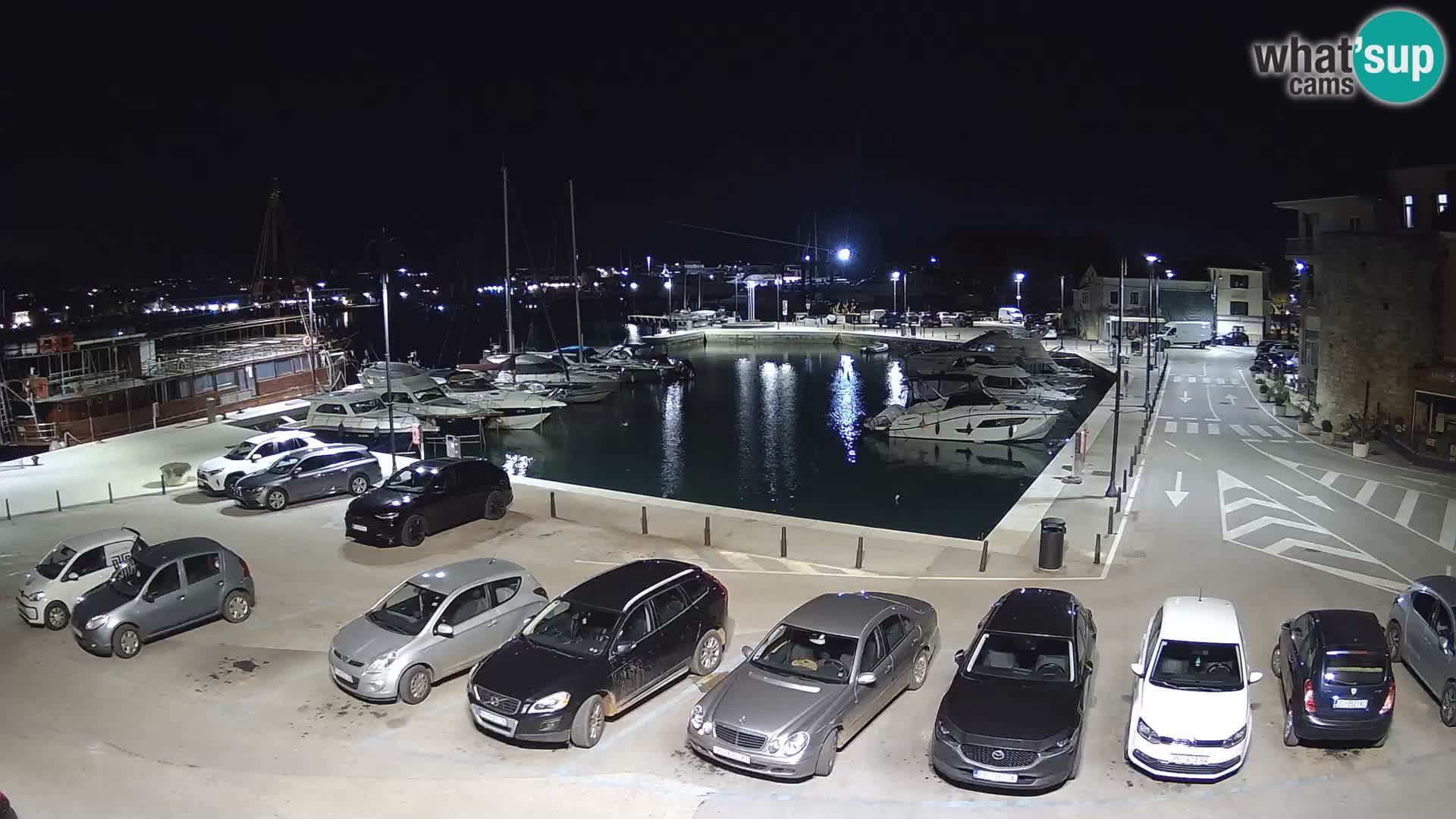 Novigrad | Porporela marina