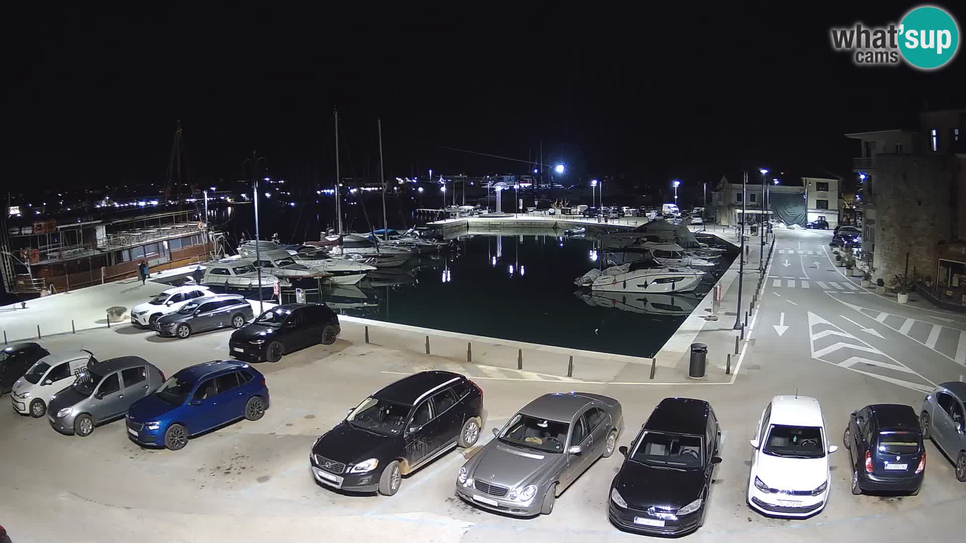 Novigrad | Porporela marina