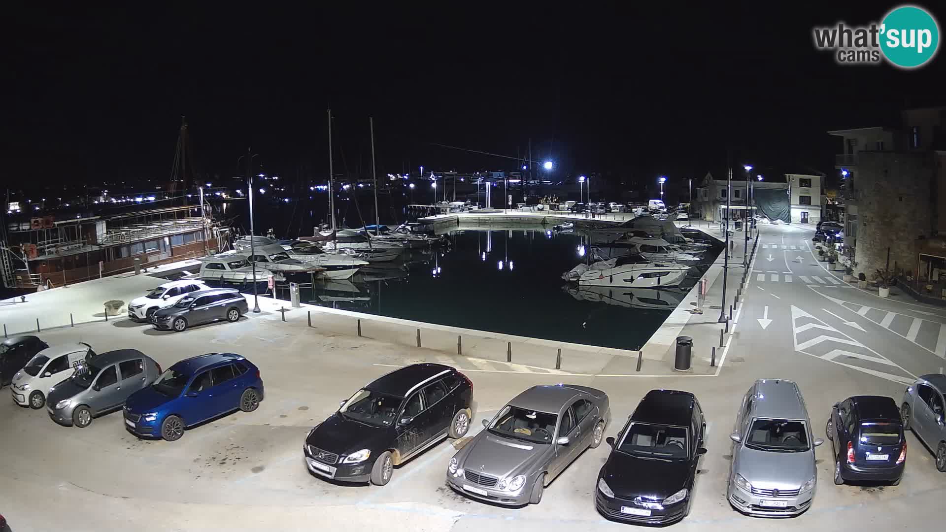 Novigrad | Porporela marina