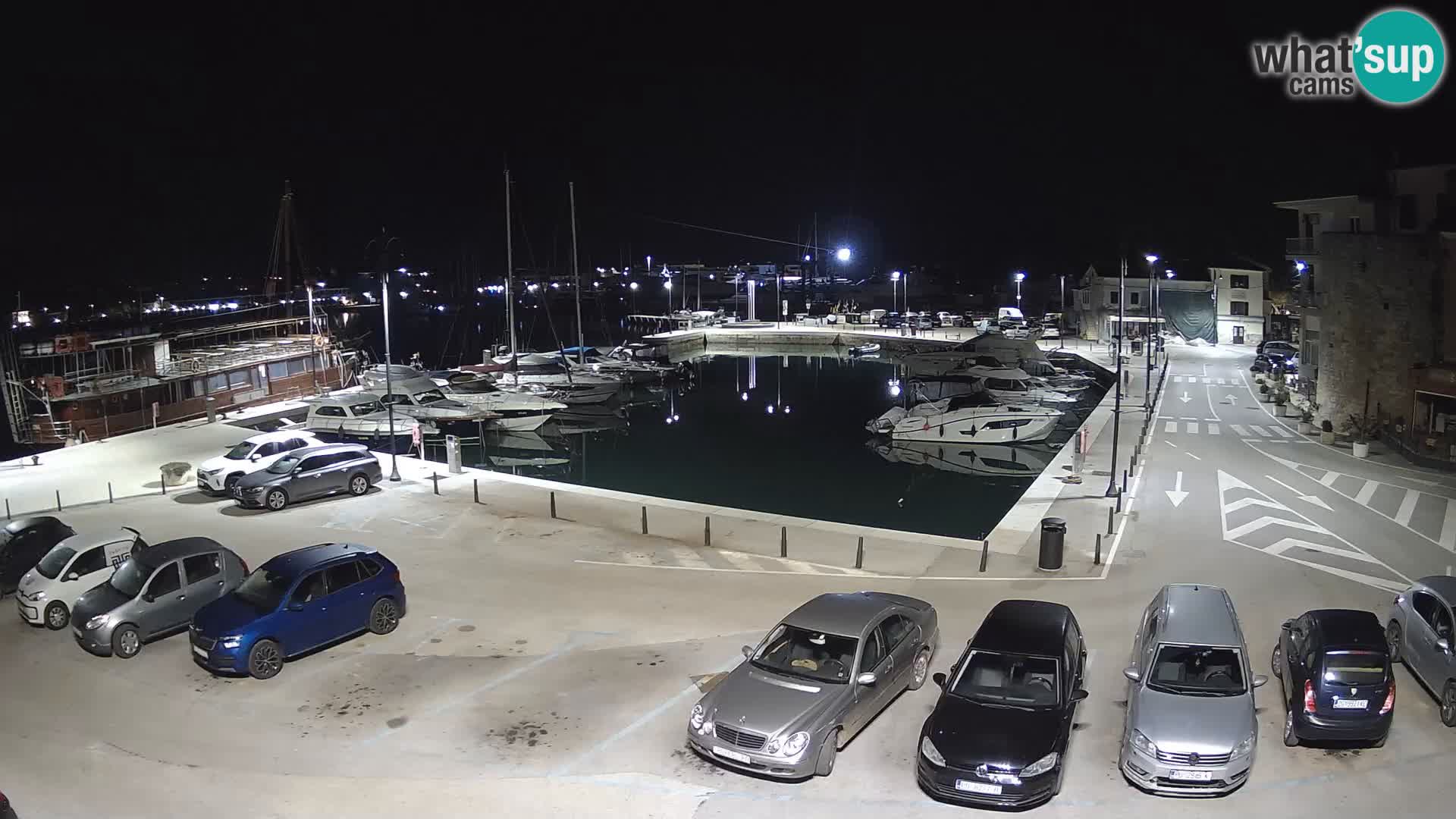 Novigrad | Porporela marina
