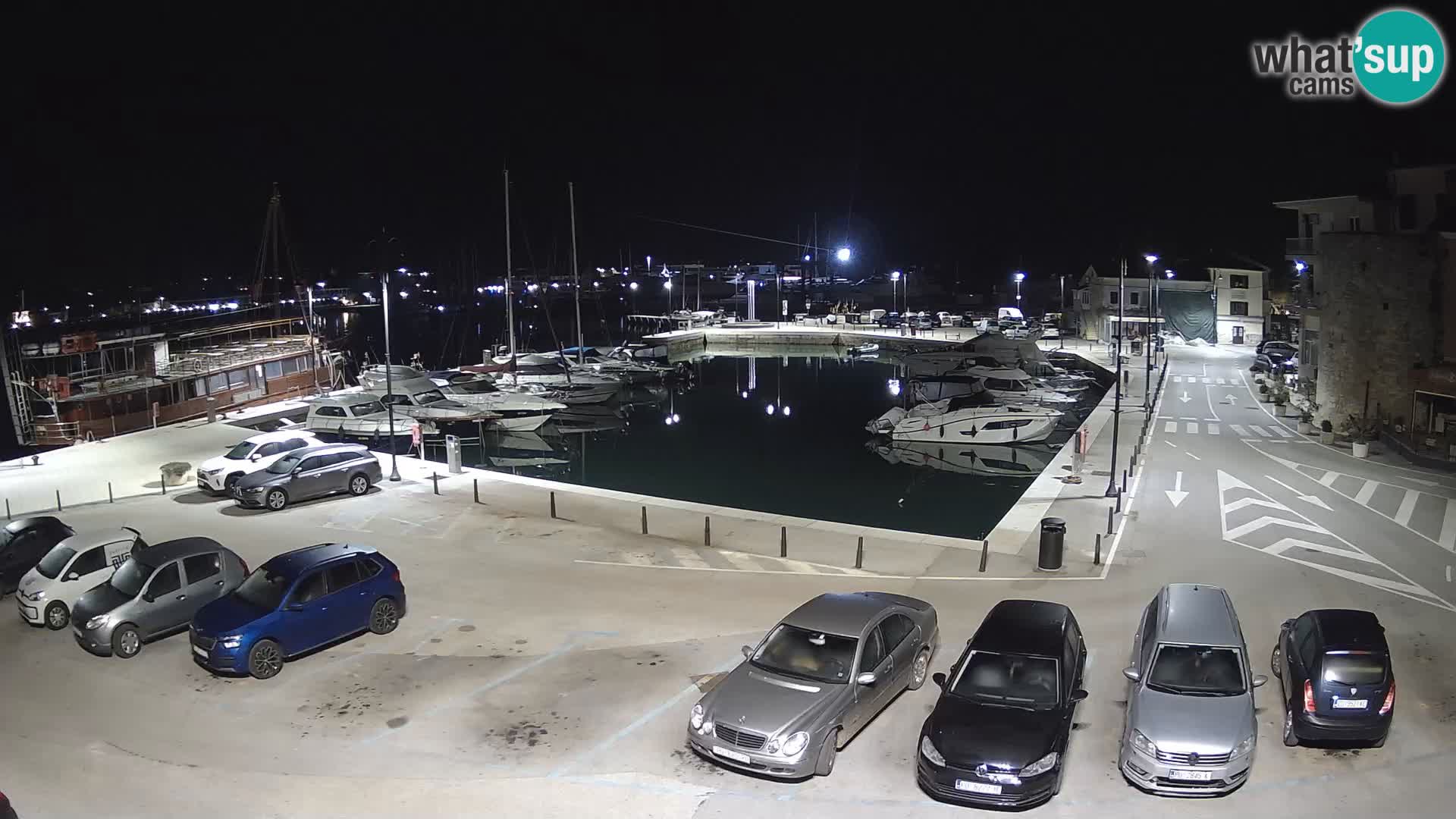 Novigrad | Porporela marina