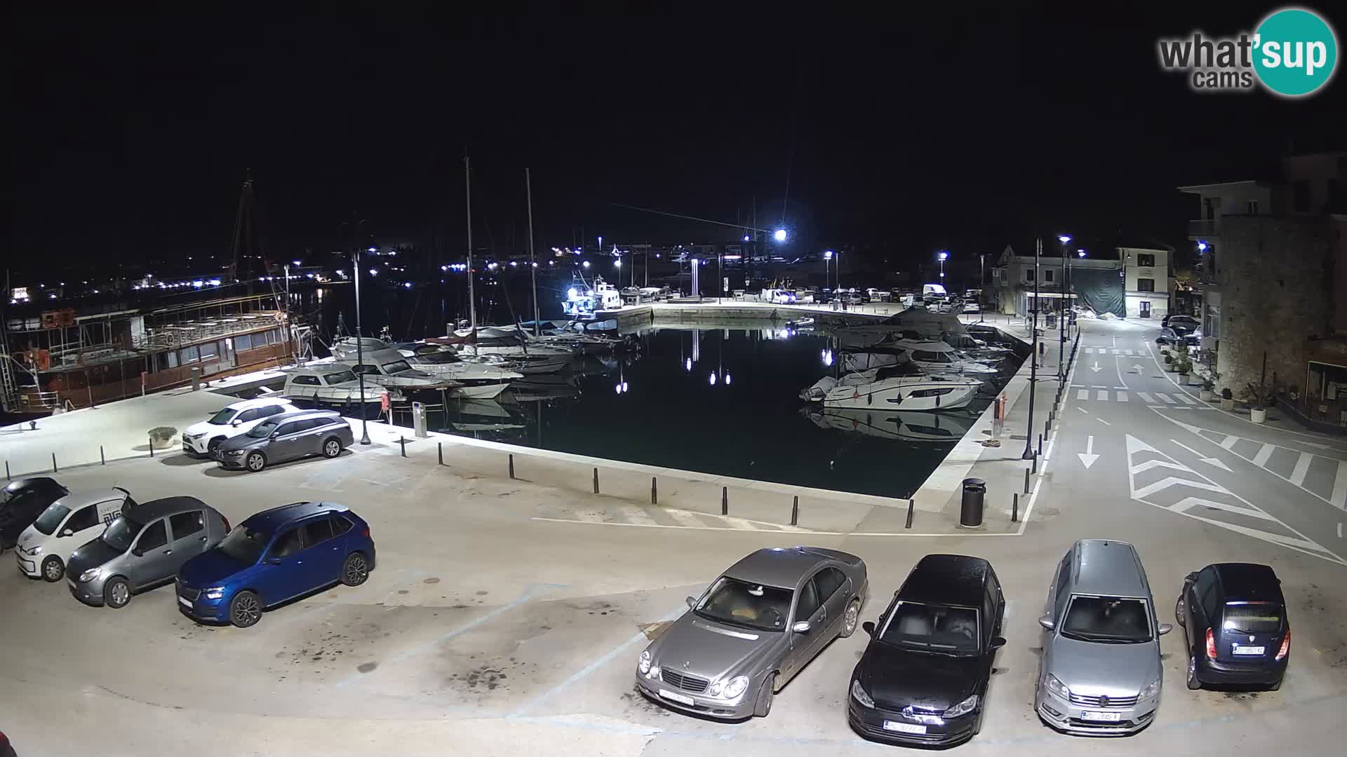 Novigrad | Porporela marina