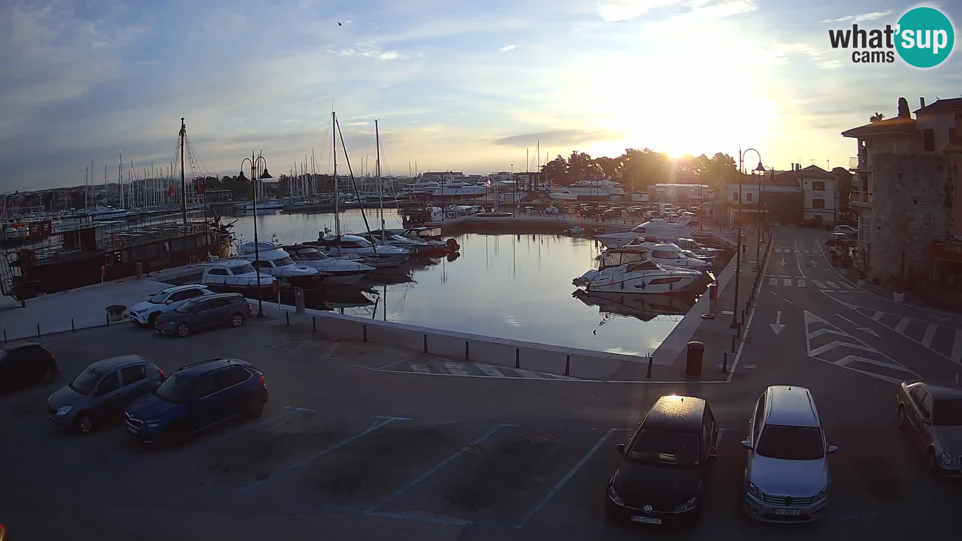 Novigrad | Porporela marina